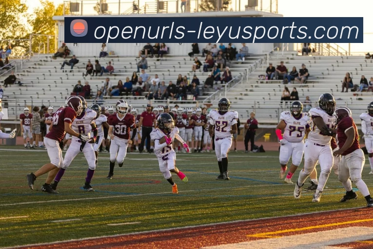 多媒体互动体验